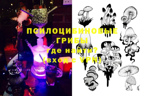 прущие грибы Баксан