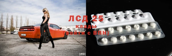 прущие грибы Баксан