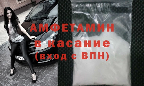 прущие грибы Баксан