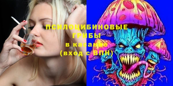 прущие грибы Баксан