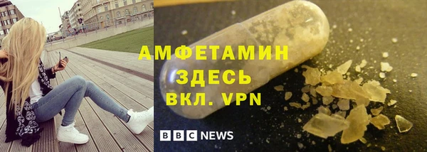 прущие грибы Баксан