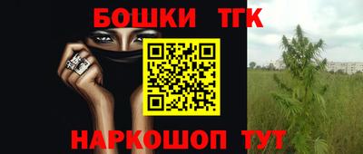 стаф Кунгур