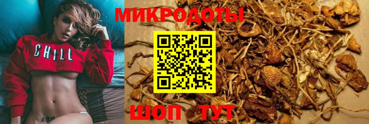 Вольск  Псилоцибиновые грибы Psilocybe  Вход с VPN  Псилоцибиновые грибы ЛСД 
